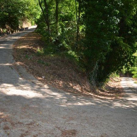 A'Loro B&B Terranuova Bracciolini Esterno foto