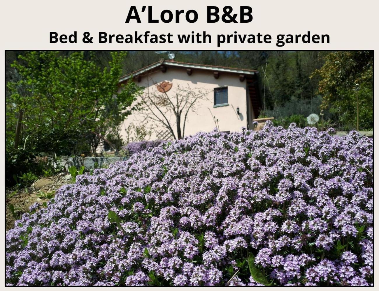 A'Loro B&B Terranuova Bracciolini Esterno foto