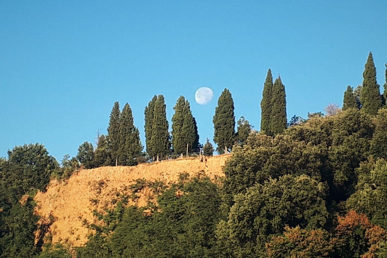 A'Loro B&B Terranuova Bracciolini Esterno foto