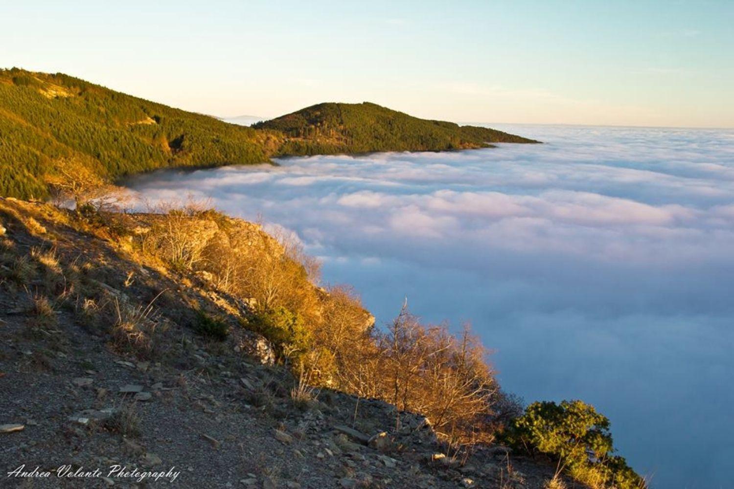 A'Loro B&B Terranuova Bracciolini Esterno foto
